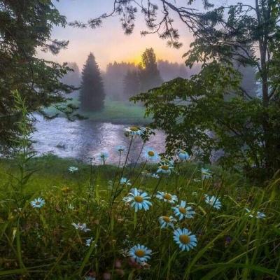 海绵宝宝找食谱